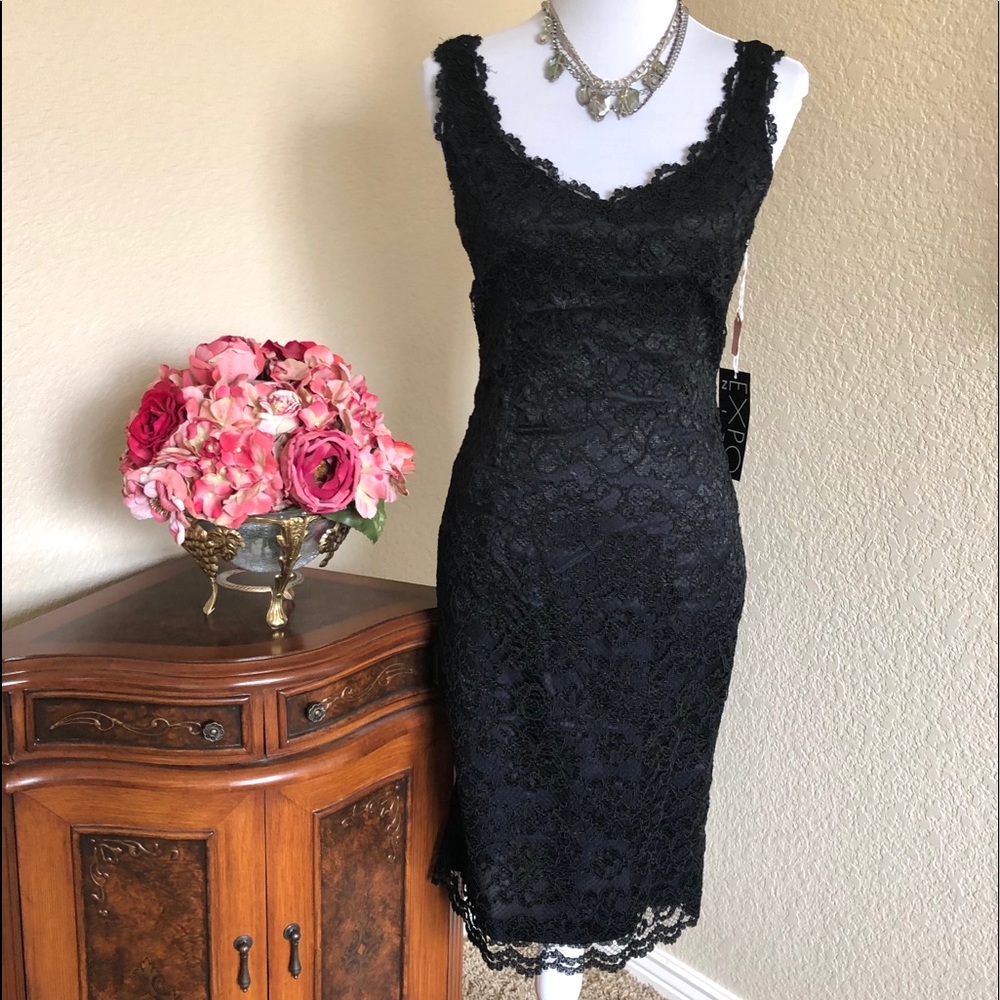 Expo Nite Sleeveless Fitted Lace Dress